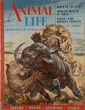 Animal Life - 1953-12