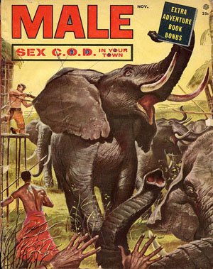 Male - 1954-11