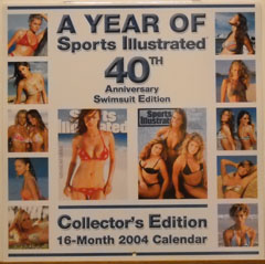 2004 16 Month Swimsuit Calendar