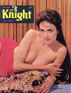 Sir Knight - v1.11