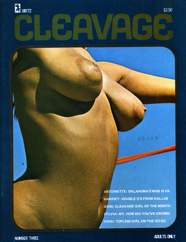 Cleavage #3