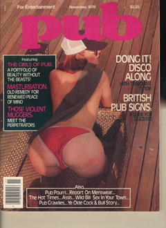 Pub - 1978-11